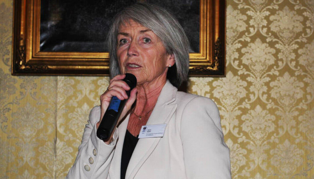 Helen Sæter, leder i Gjenopptakelseskommisjonen, er tidligere tingrettsdommer i Halden tingrett. Foto: Aina J. Rønning Helen Sæter, leder i Gjenopptakelseskommisjonen, er tidligere tingrettsdommer i Halden tingrett. Foto: Aina J. Rønning