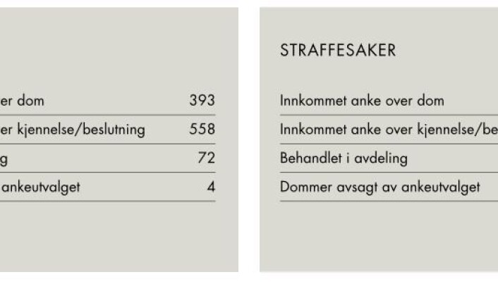 Fra Høyesteretts årsmelding for 2017. Fra Høyesteretts årsmelding for 2017.