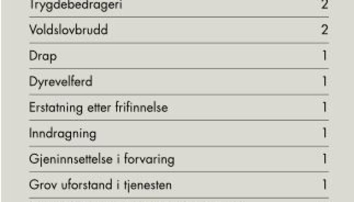 Oversikt over sakstypene innenfor straffesaksfeltet fra Høyesteretts årsmelding for 2017. Oversikt over sakstypene innenfor straffesaksfeltet fra Høyesteretts årsmelding for 2017.