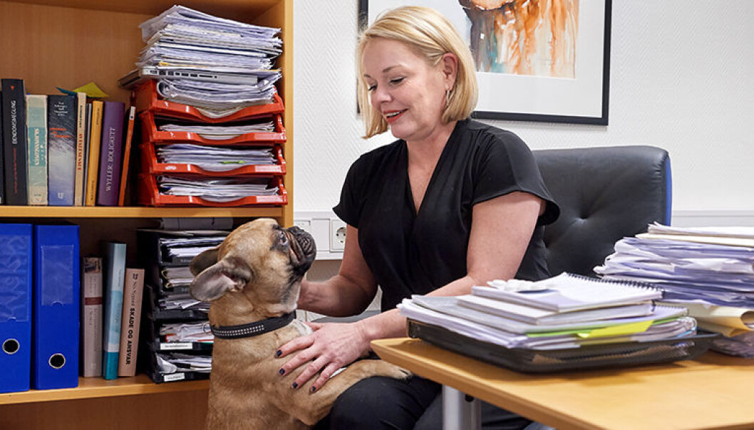 – Jeg har tro på at regjeringen vil lytte til at dette ikke slår så heldig ut i distriktene, sier Namsos-advokat Siw Bleikvassli, her på kontoret i Namsos med sin franske bulldog Götze. Foto: Bjørn Tore Ness – Jeg har tro på at regjeringen vil lytte til at dette ikke slår så heldig ut i distriktene, sier Namsos-advokat Siw Bleikvassli, her på kontoret i Namsos med sin franske bulldog Götze. Foto: Bjørn Tore Ness