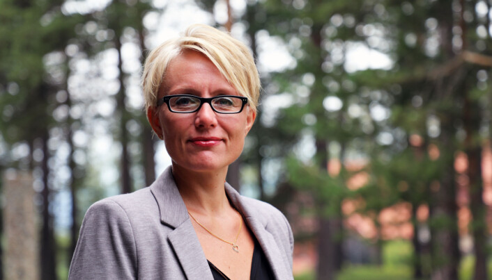 Wenche Rognås er prosjektleder for teknisk gjennomføring av kommune- og regionreformene i matrikkel og grunnbok i Kartverket. Foto: Synne Storvik Wenche Rognås er prosjektleder for teknisk gjennomføring av kommune- og regionreformene i matrikkel og grunnbok i Kartverket. Foto: Synne Storvik