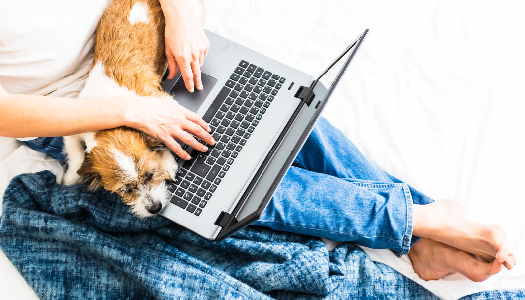 Illustrasjonsfoto/iStock: Illustrasjonsfoto/iStock:
