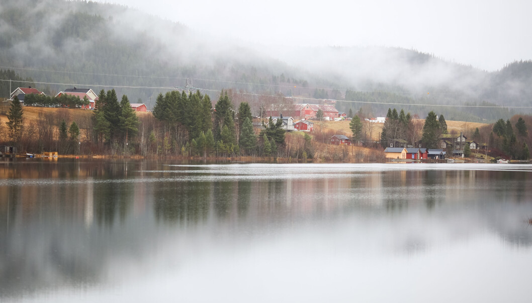 Illustrasjonsfoto fra Selbu, Trøndelag. Illustrasjonsfoto fra Selbu, Trøndelag.