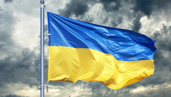 Ukrainske advokater ber om støtte fra det internasjonale advokatfellesskapet – slik svarer norske advokatfirmaer