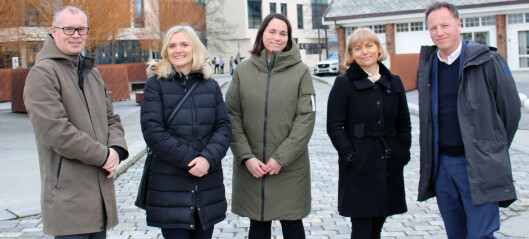 Ålesund-advokater advarer mot reversering: – Fremstår som et politisk spill