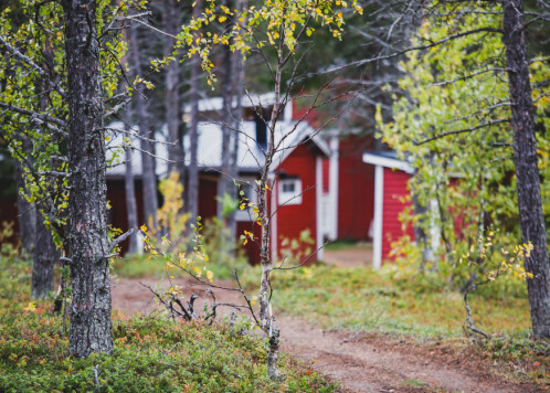 Høyesterett fastslår at innreisekarantenen for hytteeierne i Sverige var lovlig