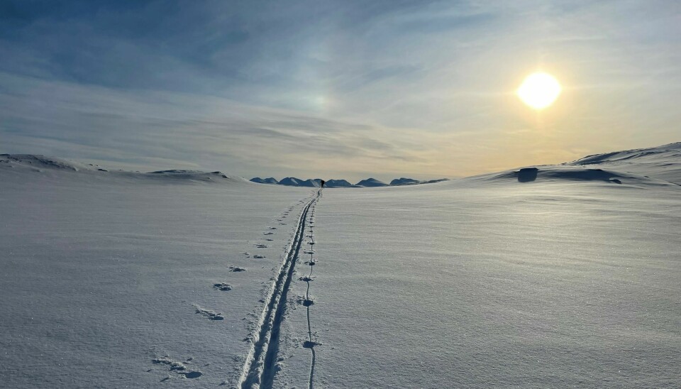 Eilertsen hadde drømt om å gå Nord-Norge på langs helt fra 2004.