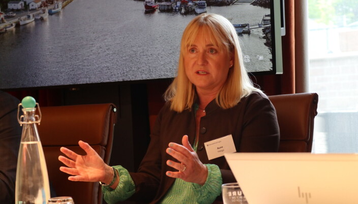 EY-partner Helga Aune. EY-partner Helga Aune.