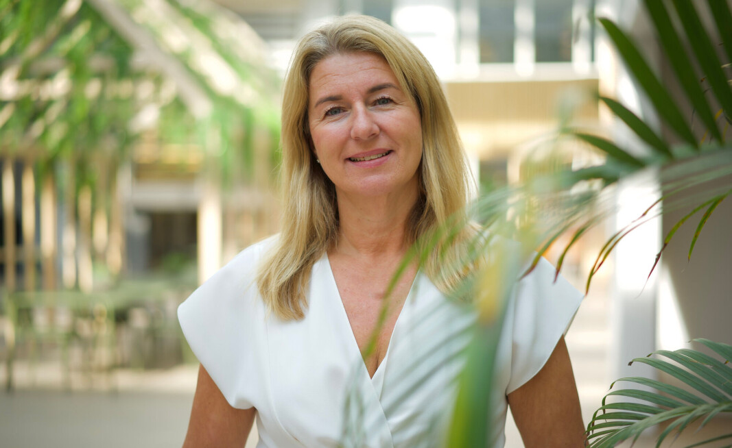 HR-direktør Tove Selnes i Storebrand. HR-direktør Tove Selnes i Storebrand.