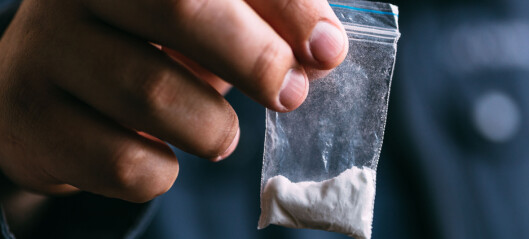 Høyesterett: 13,6 kilo amfetaminolje tilsvarer 40 kilo amfetamin