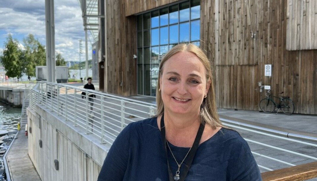 De store grepene ligger i de små endringene, ifølge Stornæs. De store grepene ligger i de små endringene, ifølge Stornæs.