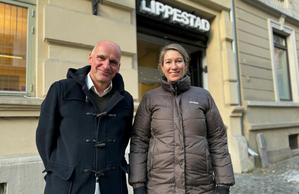 Nå i midten av januar flytter alle advokatene i firmaet som tidligere het Andersen & Bache-Wiig inn i lokalene til Advokatfirmaet Lippestad i Oslo sentrum.